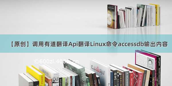 【原创】调用有道翻译Api翻译Linux命令accessdb输出内容