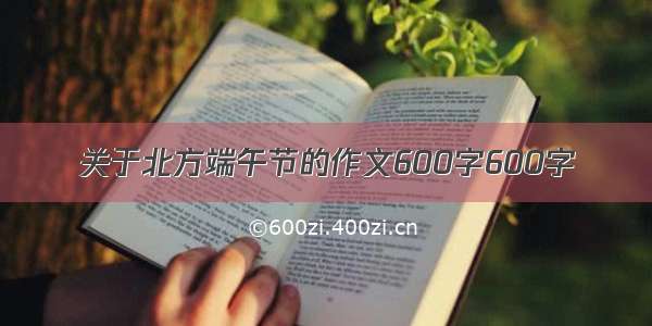 关于北方端午节的作文600字600字