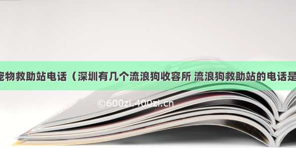 深圳宠物救助站电话（深圳有几个流浪狗收容所 流浪狗救助站的电话是多少）