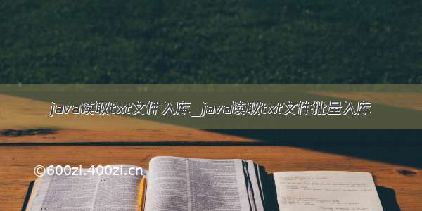 java读取txt文件入库_java读取txt文件批量入库