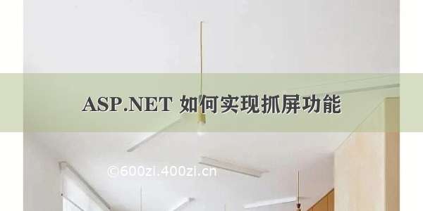 ASP.NET 如何实现抓屏功能