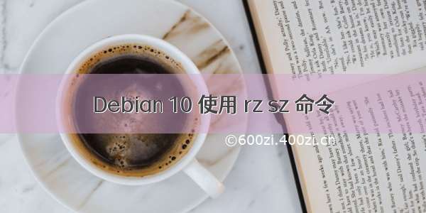 Debian 10 使用 rz sz 命令
