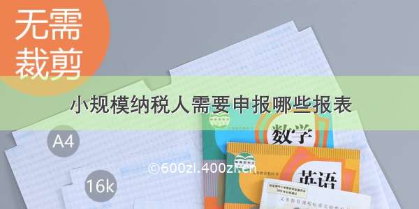 小规模纳税人需要申报哪些报表