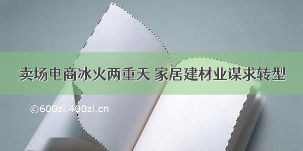 卖场电商冰火两重天 家居建材业谋求转型