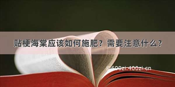 贴梗海棠应该如何施肥？需要注意什么？