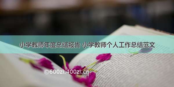 小学教师年度总结报告 小学教师个人工作总结范文