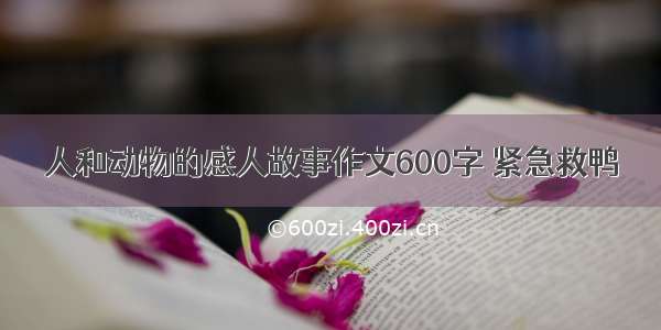 人和动物的感人故事作文600字 紧急救鸭