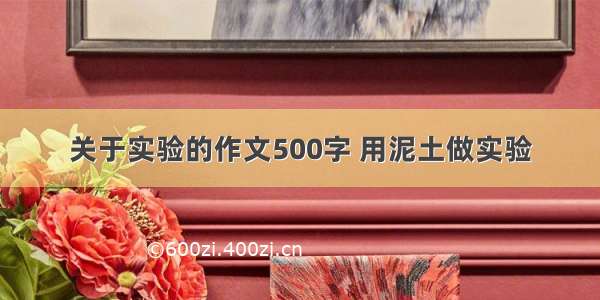 关于实验的作文500字 用泥土做实验