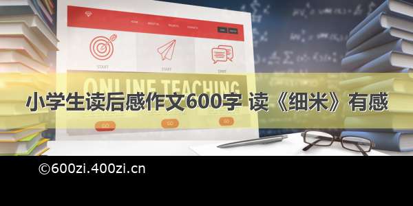 小学生读后感作文600字 读《细米》有感