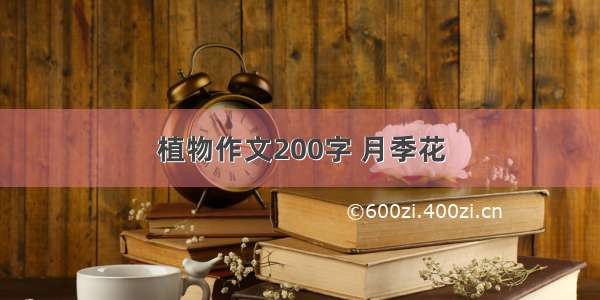 植物作文200字 月季花