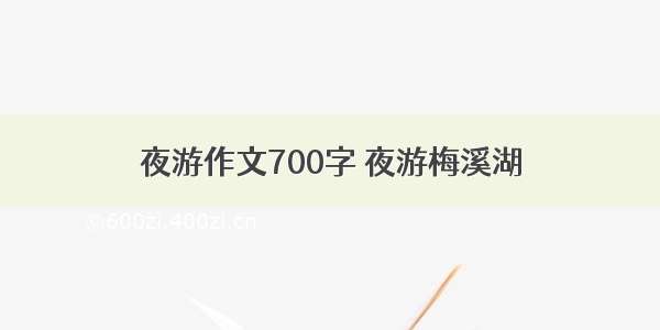 夜游作文700字 夜游梅溪湖