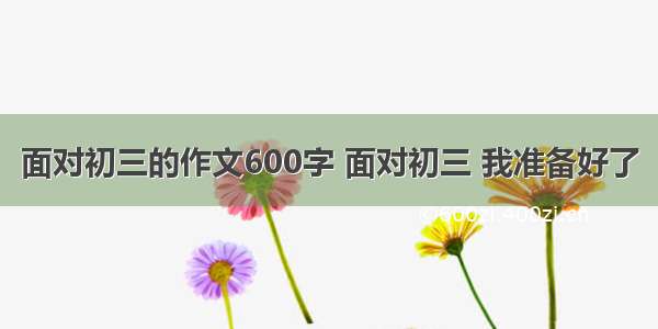 面对初三的作文600字 面对初三 我准备好了