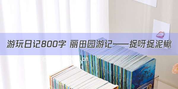 游玩日记800字 丽田园游记——捉呀捉泥鳅