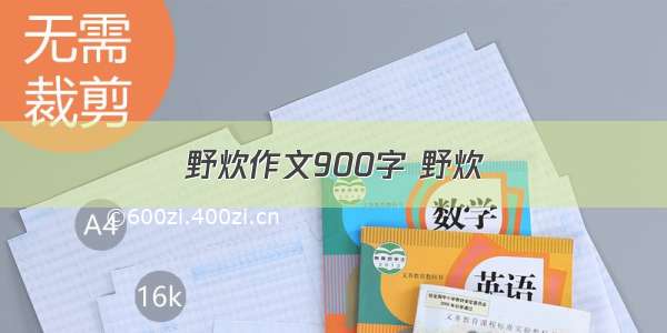 野炊作文900字 野炊