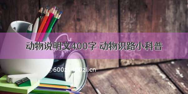 动物说明文400字 动物识路小科普