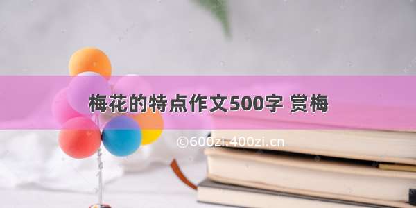 梅花的特点作文500字 赏梅