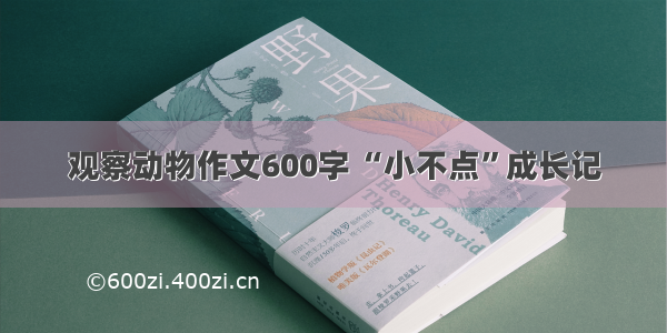 观察动物作文600字 “小不点”成长记