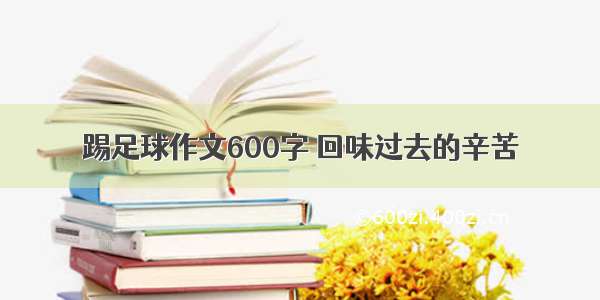 踢足球作文600字 回味过去的辛苦