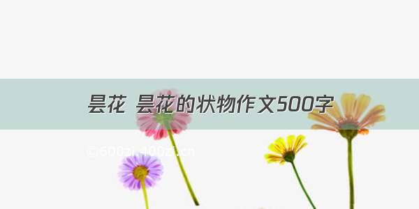 昙花 昙花的状物作文500字