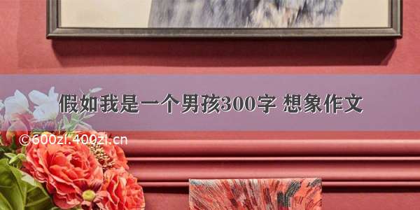 假如我是一个男孩300字 想象作文