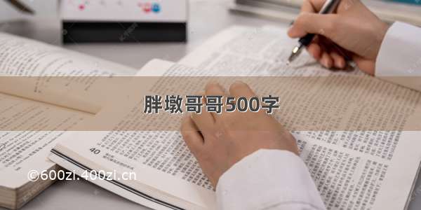 胖墩哥哥500字