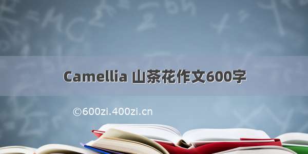 Camellia 山茶花作文600字