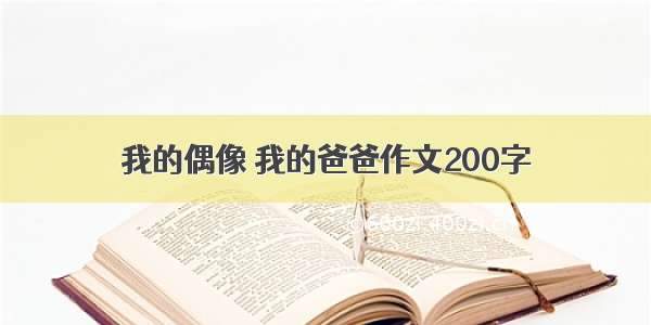 我的偶像 我的爸爸作文200字