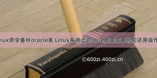 用Linux命令备份oracle表 Linux系统上Oracle数据库备份和还原操作说明