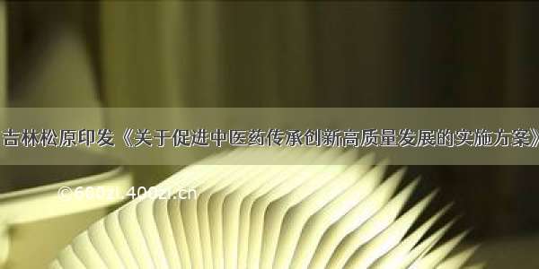 吉林松原印发《关于促进中医药传承创新高质量发展的实施方案》