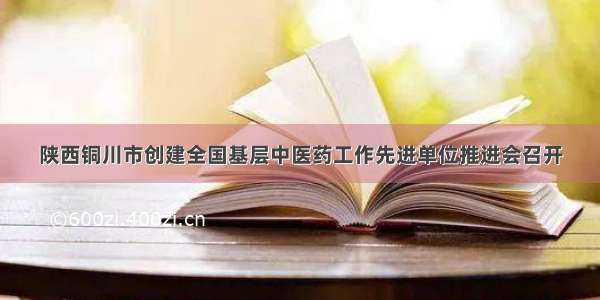 陕西铜川市创建全国基层中医药工作先进单位推进会召开