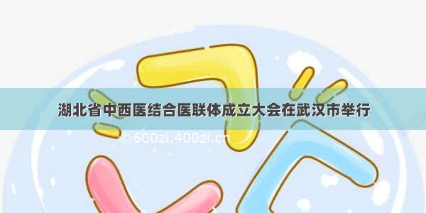 湖北省中西医结合医联体成立大会在武汉市举行