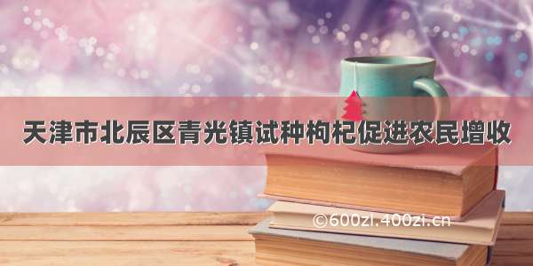 天津市北辰区青光镇试种枸杞促进农民增收