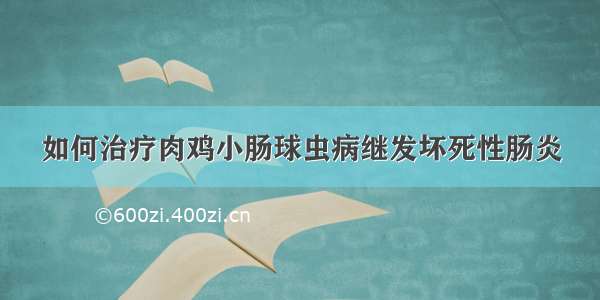 如何治疗肉鸡小肠球虫病继发坏死性肠炎