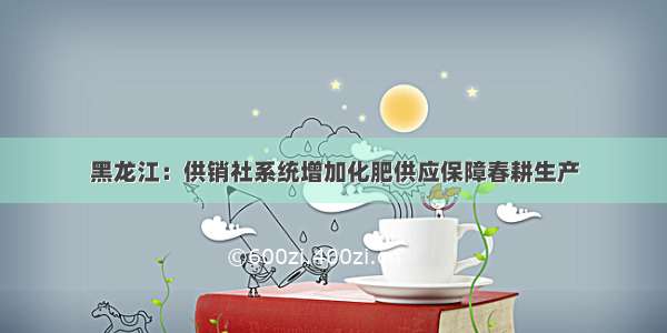 黑龙江：供销社系统增加化肥供应保障春耕生产