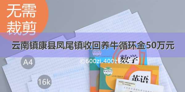 云南镇康县凤尾镇收回养牛循环金50万元