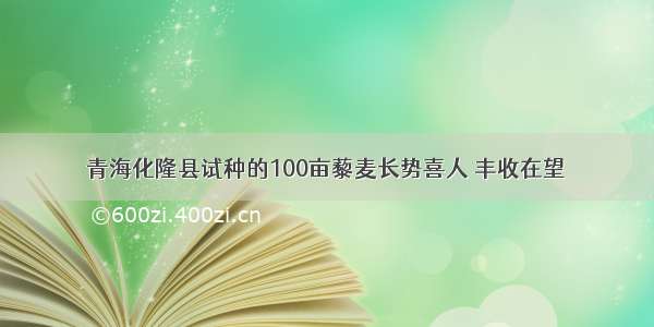 青海化隆县试种的100亩藜麦长势喜人 丰收在望