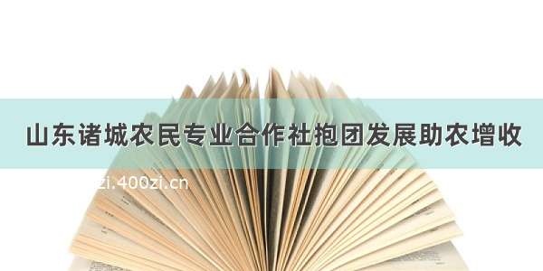 山东诸城农民专业合作社抱团发展助农增收