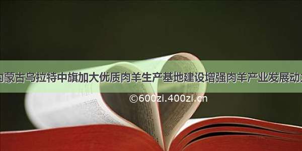 内蒙古乌拉特中旗加大优质肉羊生产基地建设增强肉羊产业发展动力