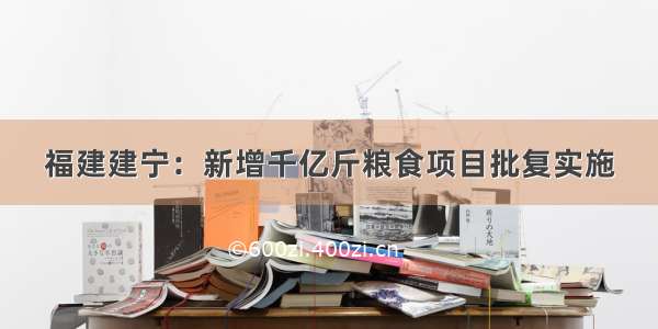 福建建宁：新增千亿斤粮食项目批复实施