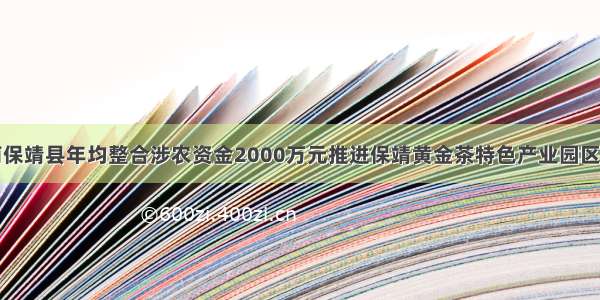 湖南保靖县年均整合涉农资金2000万元推进保靖黄金茶特色产业园区建设