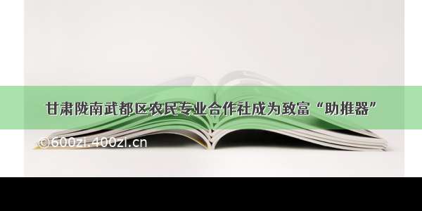 甘肃陇南武都区农民专业合作社成为致富“助推器”