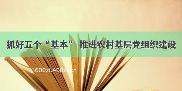 抓好五个“基本” 推进农村基层党组织建设