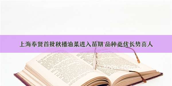 上海奉贤首批秋播油菜进入苗期 品种更优长势喜人