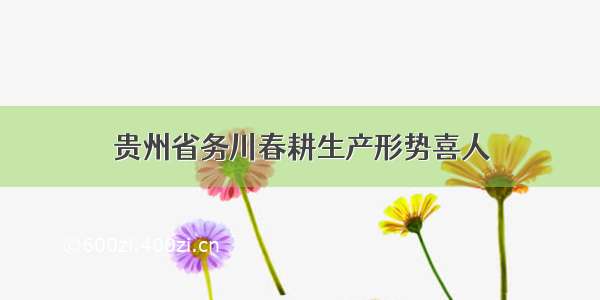 贵州省务川春耕生产形势喜人