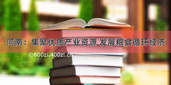 河南：集聚优质产业资源 发展粮食循环经济