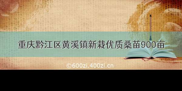 重庆黔江区黄溪镇新栽优质桑苗900亩