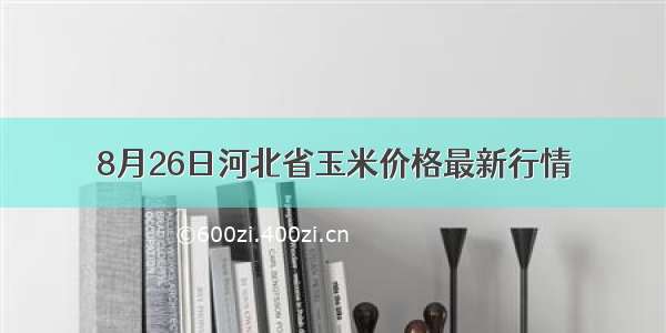 8月26日河北省玉米价格最新行情