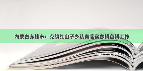 内蒙古赤峰市：克旗红山子乡认真落实春耕备耕工作