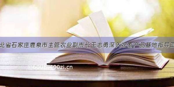 河北省石家庄鹿泉市主管农业副市长王志勇深入农畜产品基地指导工作