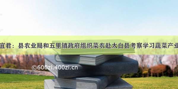 陕西宜君：县农业局和五里镇政府组织菜农赴太白县考察学习蔬菜产业发展